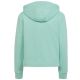 5. Tracksuit adidas Cotton Hoodie TS Jr. HR5840