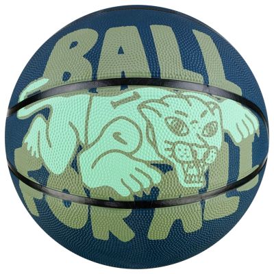 3. Nike Everyday Playground 8P Graphic Deflated Ball N1004371-434