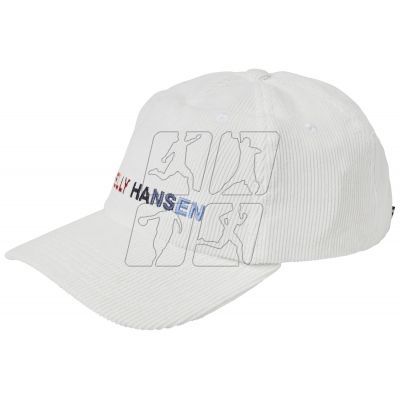 Helly Hansen HH Graphic Cap 48146 011