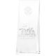 5. 3D engraved glass trophy in a case