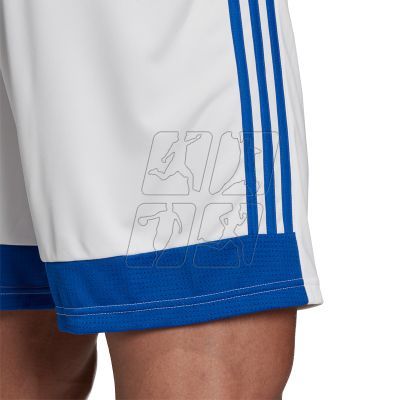 4. Adidas Tastigo 19 M FL7789 shorts