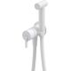 Concealed bidet tap with bidet shower head