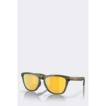 Oakley Frogskins Range polarized glasses - d.brush/o.ink/prizm 24k pol