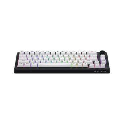 2. HATOR Skyfall Wireless 65 Gaming Keyboard USB + RF Wireless + Bluetooth QWERTY US English Black, White