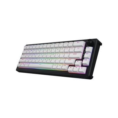 21. HATOR Skyfall 65 MAG ULTRA 8K Gaming Keyboard USB QWERTY US English Black, White