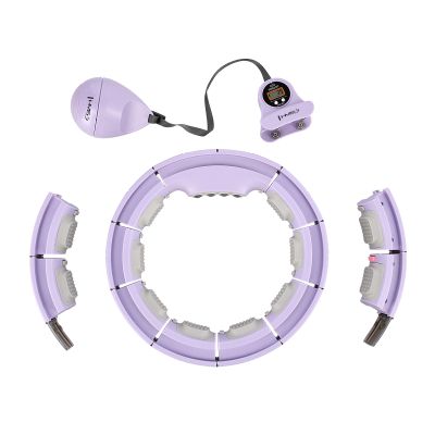17. Hula Hop HMS HHM13 with magnets, weights and counter purple