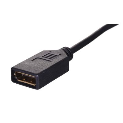 3. Lanberg AD-0003-BK adapter (Mini DisplayPort M - DisplayPort F; 0.10m; black)
