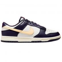 Nike Men's Dunk Low Retro Shoes FV8106-181