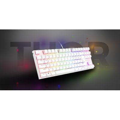 9. GENESIS THOR 303 TKL US WHITE RGB MECHANICAL GAMING KEYBOARD SILENT SWITCH HOT SWAP
