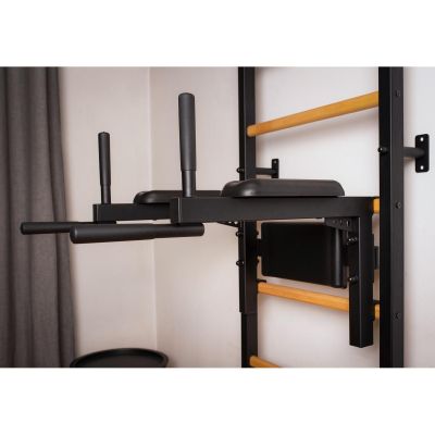 46. GYMNASTIC LADDER WITH A HAND BAR AND A BENCH KIT 723B