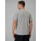 2. Men's regular-fit graphic T-shirt 4F 4FRSS26TTSHM3989-10S