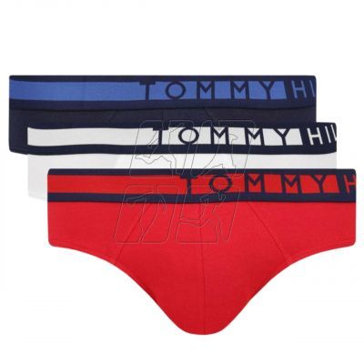 7. Tommy Hilfiger Brief M panties UM0UM01227