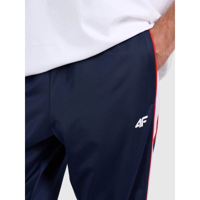 3. Men's jogger sweatpants 4F 4FRAW25TTROM1611-31S