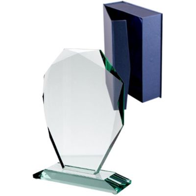 4. Glass trophy with case