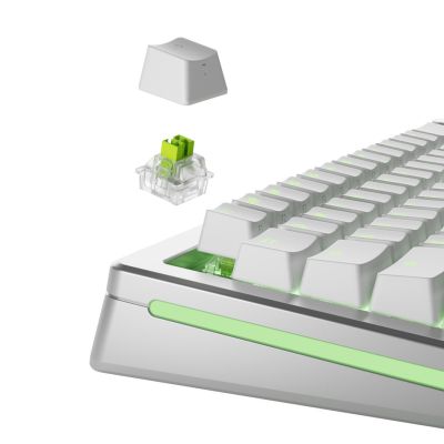 2. Glorious Gaming GLO-KB-ACC-SWT-RAPTOR-HE-36 no category