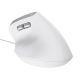 4. Trust BAYO II ERGONOMIC White Mouse