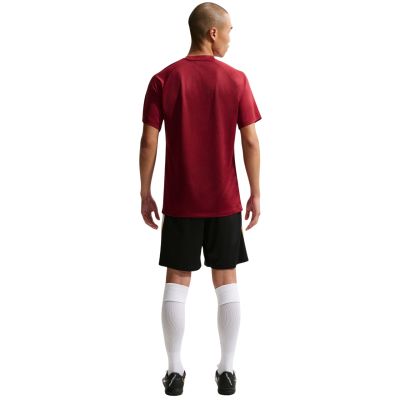 7. Nike Dri-Fit Park VIII Men's T-Shirt Burgundy HV8173 677