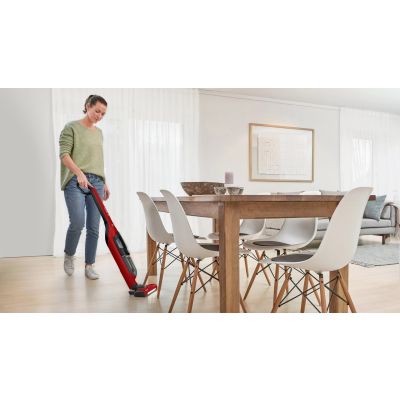 13. BOSCH BBH 3ZOO28 FLEXXO vacuum cleaner
