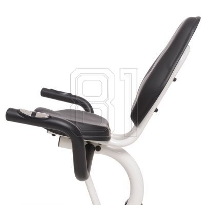 43. Horizontal magnetic bike HMS R9259 white and green