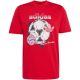 2. adidas FC Bayern Munich Seasonal Graphic Men's T-Shirt Red KG2586