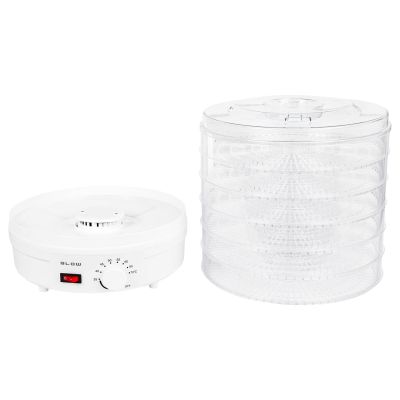 5. Blow Dryer for Mushrooms and Fruits FD-01 500W