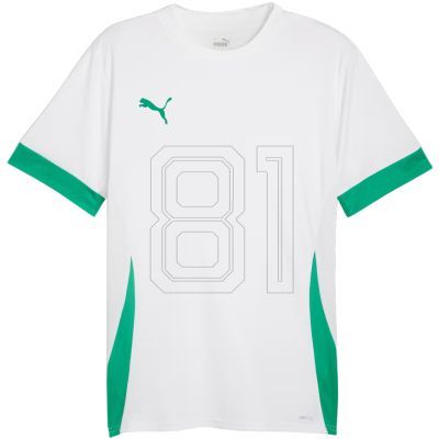 Puma teamGoal Matchday Jersey men's white-green 705747 15