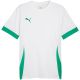 Puma teamGoal Matchday Jersey men's white-green 705747 15