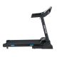 2. BODYTONE ELECTRIC TREADMILL DT18+