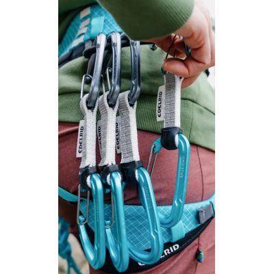 4. Edelrid 737930106020 Climbing Carabiner, Locking Closure, D-Shape, Blue, Silver, 6 Pieces