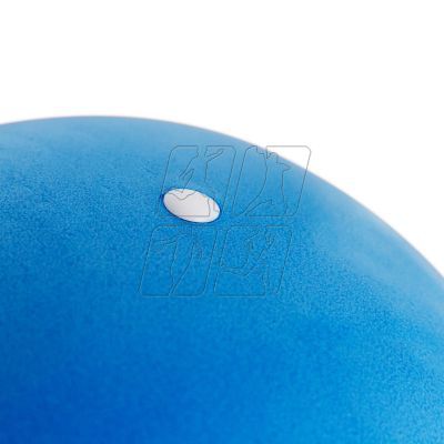 10. Mini BB 013 gymnastic ball 25 cm