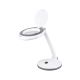 Table lamp with magnifying glass 5D 6W Rebel (30x2835 SMD)