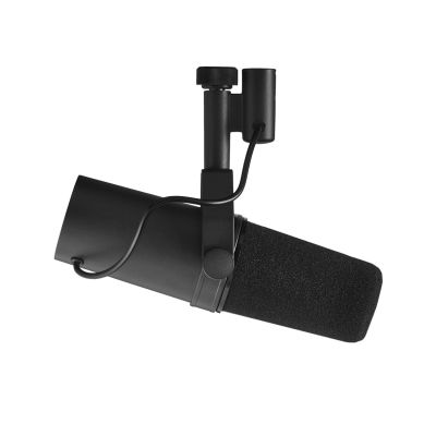 2. Shure SM7B - Dynamic, cardioid, voice-over microphone - radio