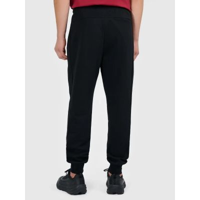 2. Men's jogger sweatpants 4F 4FWMM00TTROM1676-20S