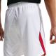 5. Nike England Stadium 2025/26 Home Men's Shorts White IB4845 100