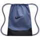 Nike Brasilia IB4409-491 Shoe and Clothing Bag
