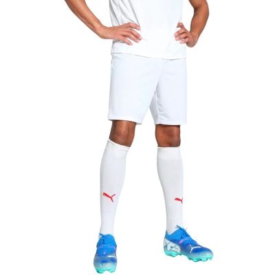 9. Puma Team Goal men's shorts white 705752 04