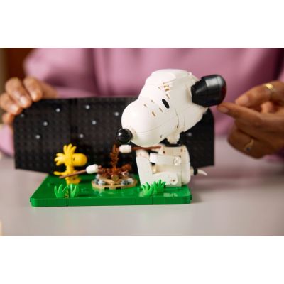13. LEGO Ideas 21368 - Peanuts: Snoopy's Bud