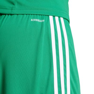 13. adidas Squadra 25 M JN7482 shorts