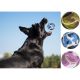 13. TENNIS BALLS FOR DOGS 3 PCS