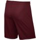 2. Nike Park II Junior 725988-677 Football Shorts