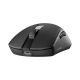 3. RAMPAGE ZENITH PRO BLACK 26000 Wireless Mouse