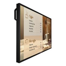 PHILIPS P-Line 43BDL6017P 109.2cm(43") 24/7/UHD (Speditionsversand)