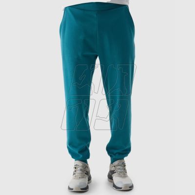 6. Pants 4F M 4FWSS24TTROM603 46S