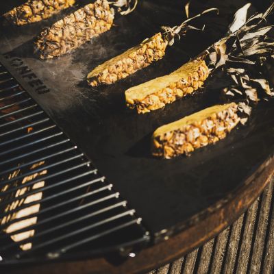 5. Bonfeu Bonplancha ½ Ø 100 VBPH6.1000