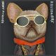 7. Nimmy Glasses Cool Dog Case for iPhone 15 Pro - Black