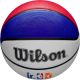 15. WILSON JR NBA DRV LIGHT PLUS BSKT R.5 BASKETBALL
