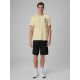 3. Men's regular printed T-shirt 4F 4FRSS26TTSHM4301-73S