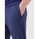 6. Men's quick-drying training pants 4F 4FWSS25TFTRM0835-30M