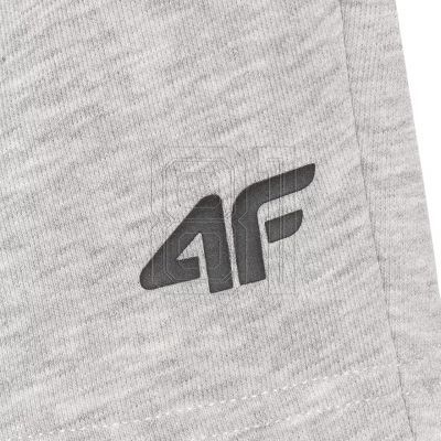 5. Shorts 4F CAS M543 M 4FWMM00TSHOM543 27M