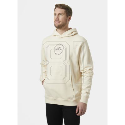 10. Helly Hansen Core Graphic Sweat Hoodie M 53924 034